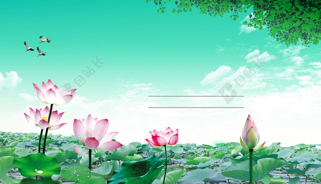 清新莲花云层背景素材