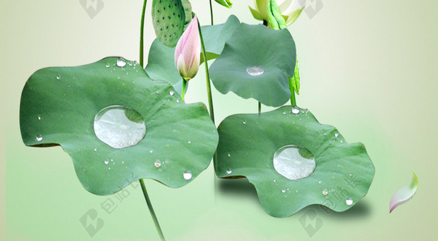 端午节海报背景素材