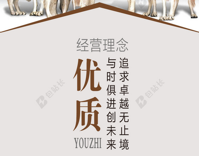 商务狼群H5背景