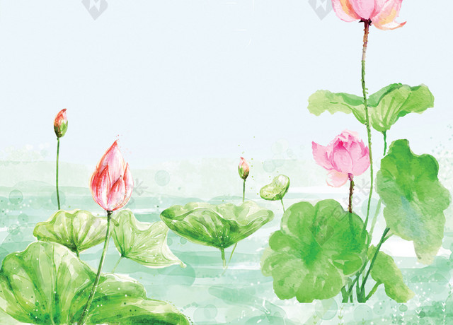 手绘荷花立夏节气海报