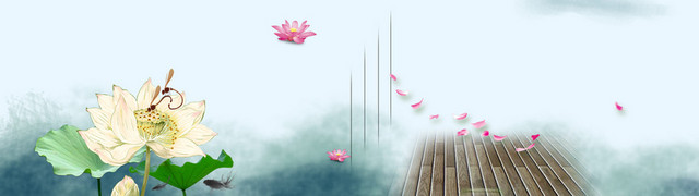 护肤品中国风荷花背景BANNER