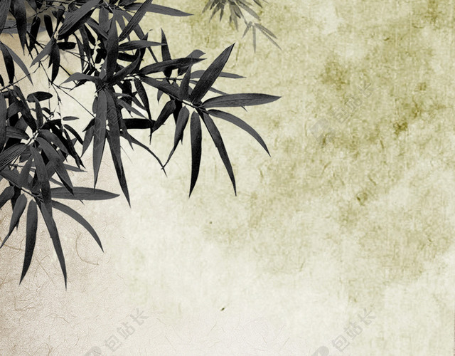 荷花H5背景