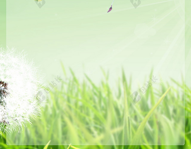 清新草地蒲公英背景APP登录页