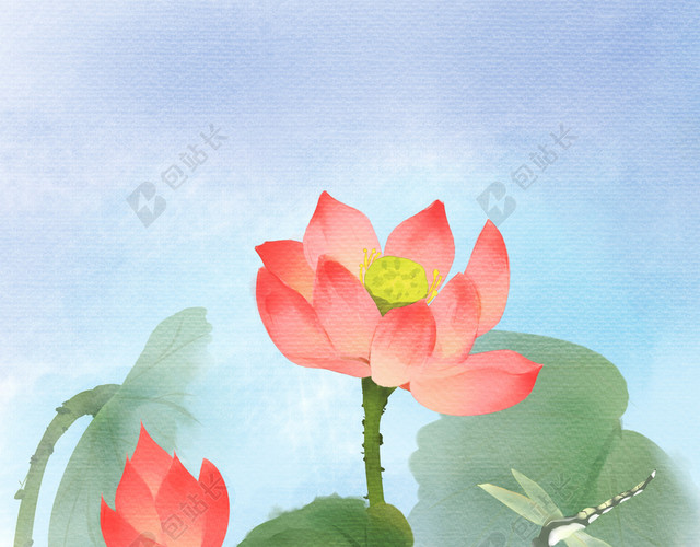 手绘水彩风荷花插画
