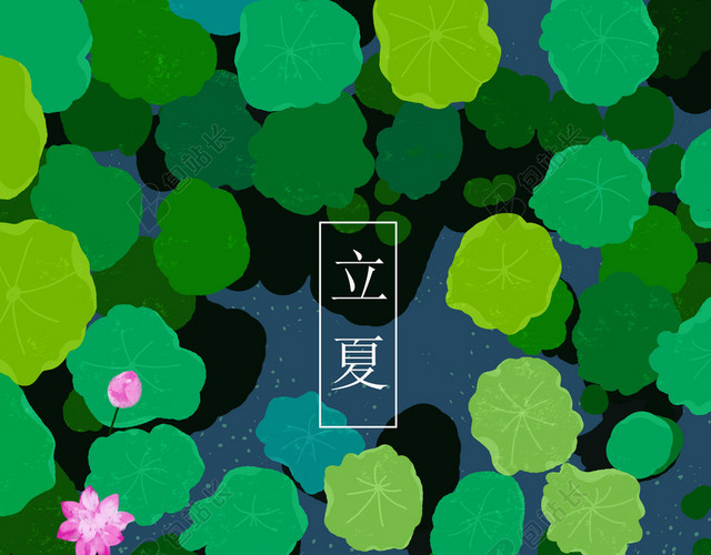 夏日荷花池手绘插画