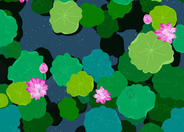 夏日荷花池手绘插画