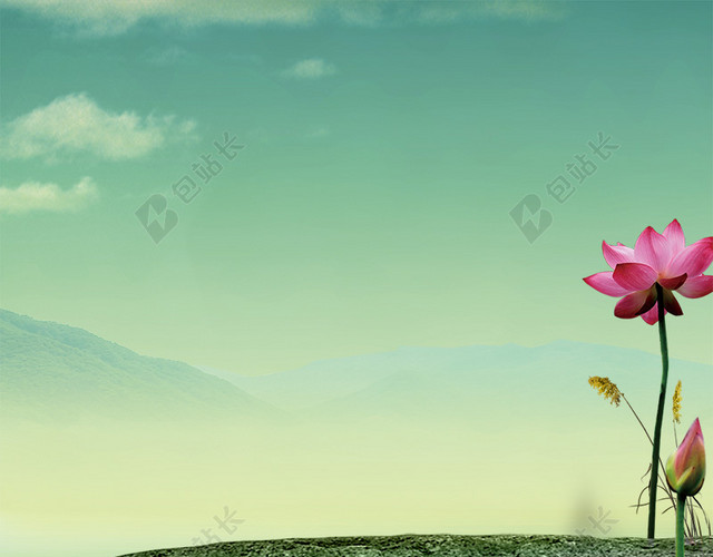 中国风荷花绿色主图背景