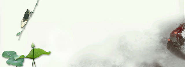 夏至背景BANNER