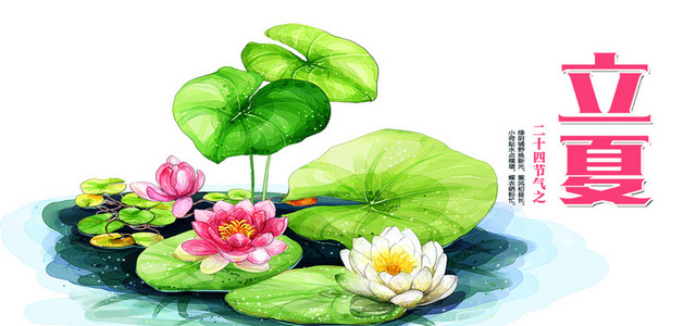 节气背景图