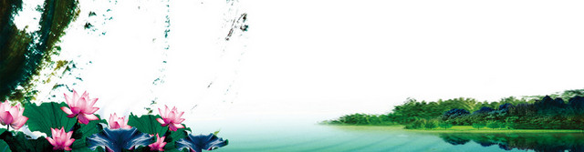 中国风荷花湖水背景BANNER