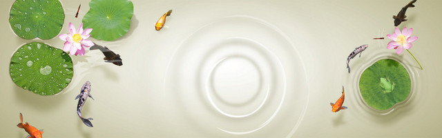 清新荷塘背景BANNER