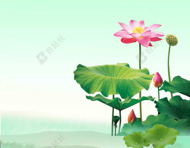 简约荷花荷叶PSD分层主图背景素材