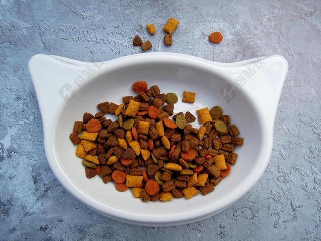 猫 食品 宠物食品 猫粮 干粮 碗 白 颜色