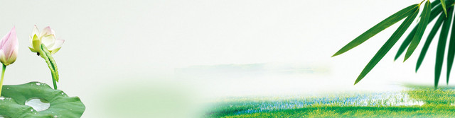 中国风荷花湖水背景BANNER