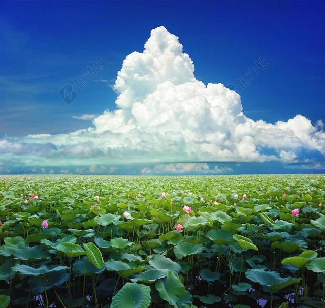 热带 夏天 蓝色 自然 水 天空 天堂 异国情调 景观
