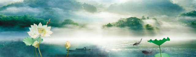 中国风荷花背景BANNER