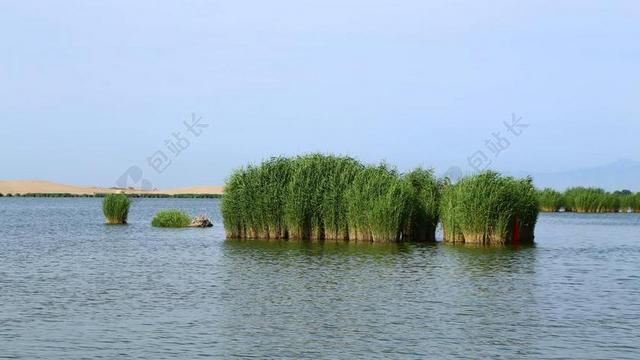 碧落 沙海 风景 湖 水 芦苇