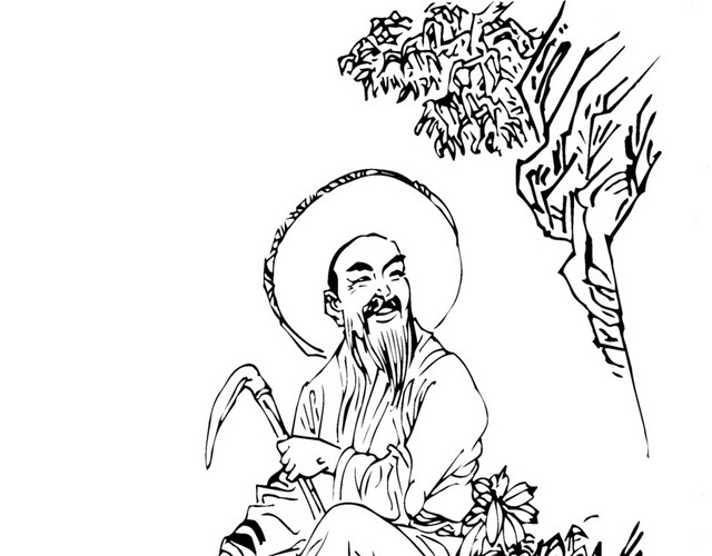 养生
