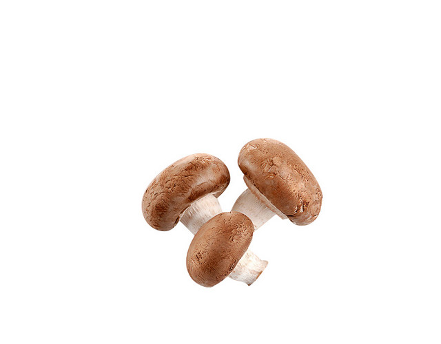 食物蘑菇