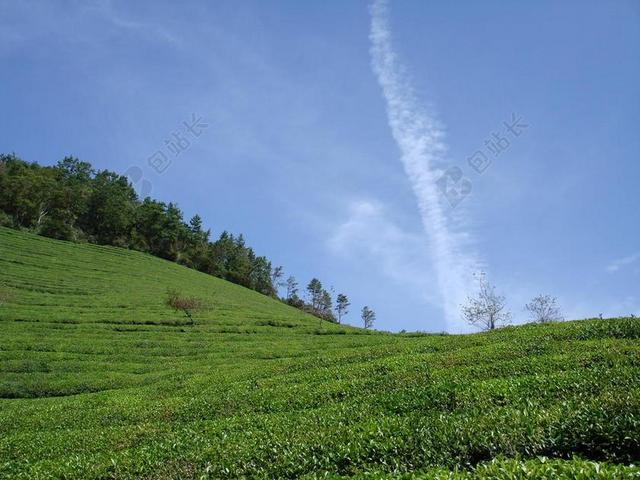 绿色旅游自然草原农村背景图片