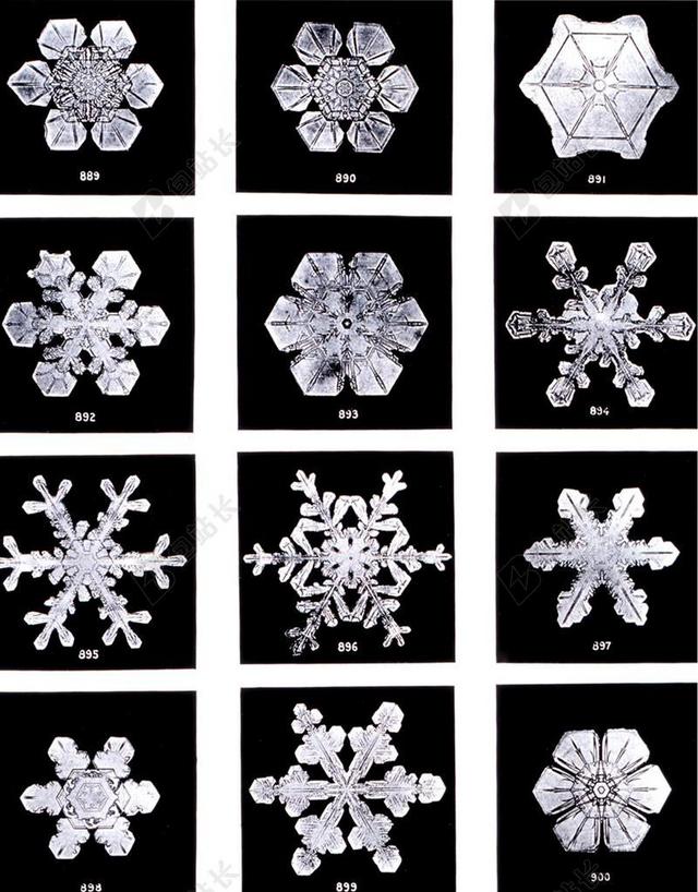 晶体 冰晶体 雪 冰 雪晶 水晶体 晶体形式 形式 六角形