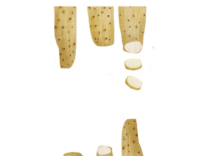 插画手绘冬日养生食材山药