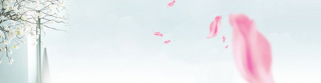 淘宝饰品海报免费下载背景BANNER