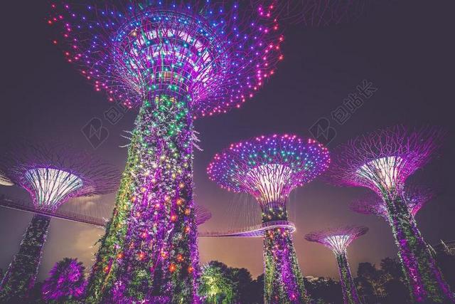 人造树 照明 建筑物 多彩 结构 现代 当代 未来 装修