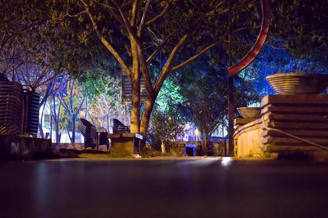 夜 公园 旅行 照明 自然 长凳 一夜之间 户外 长椅 灯