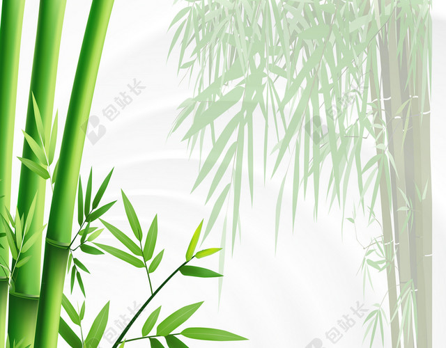 绿色竹林海报背景