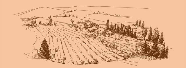 葡糖酒农田背景BANNER