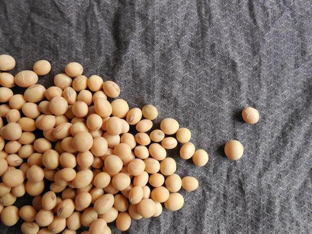 大豆 豆类 食品 谷物 种子 健康 有机 素