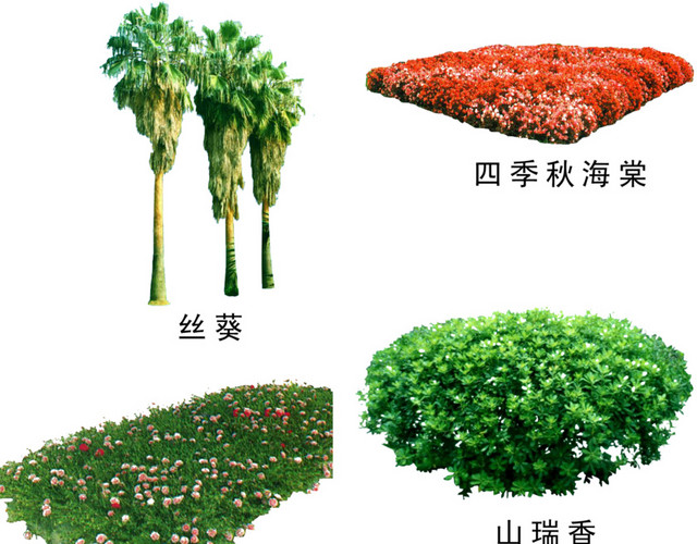 绿植树木素材