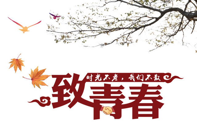 致青春素材