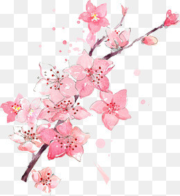 水墨桃花枝