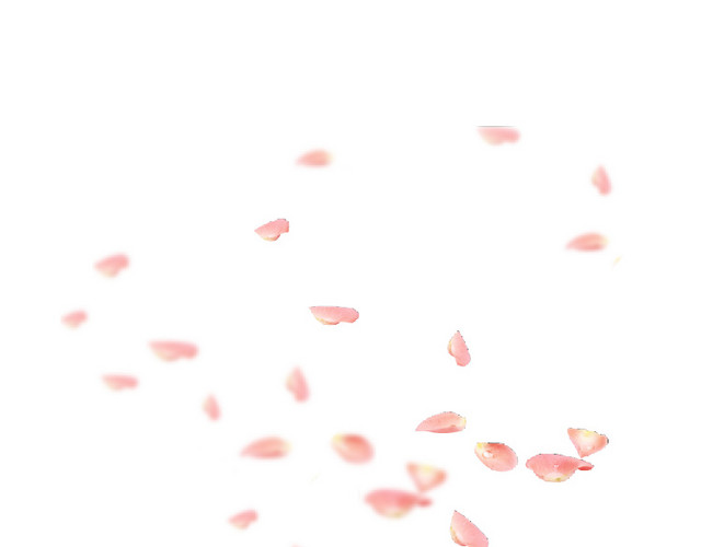 飘落的桃花