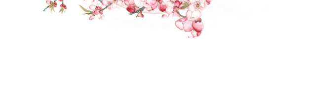 手绘桃花花环边框