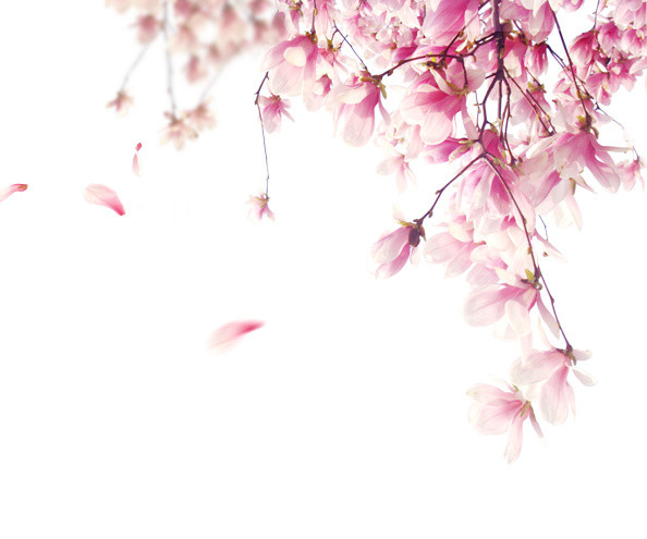 桃花矢量