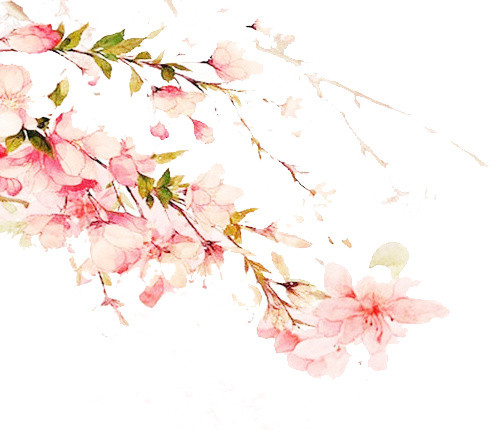 手绘浪漫唯美桃花枝