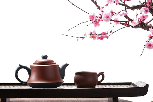 养生的茶道宣传