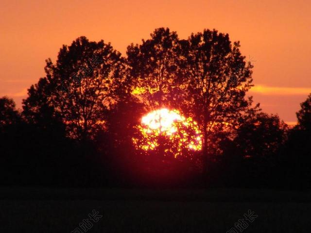 摄影自然夕阳下的公园背景图片