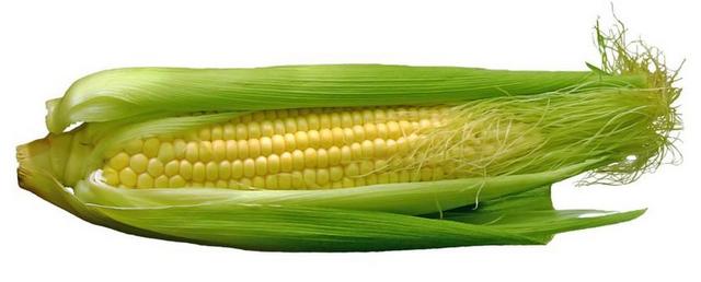 玉米 COB 食品 蔬菜