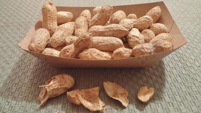 花生 坚果 食品 果壳 营养 小吃