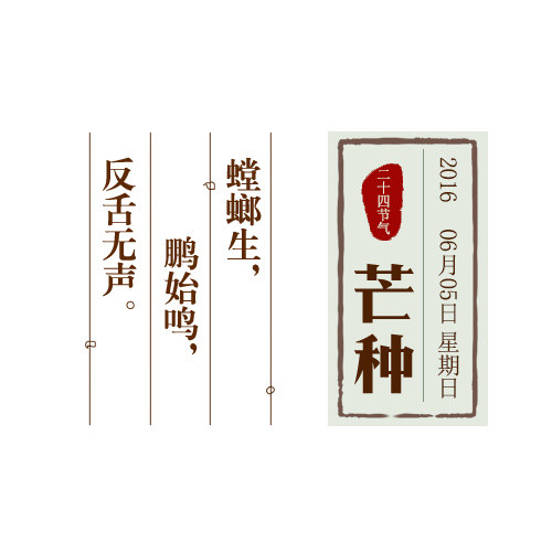 二十四节气之芒种