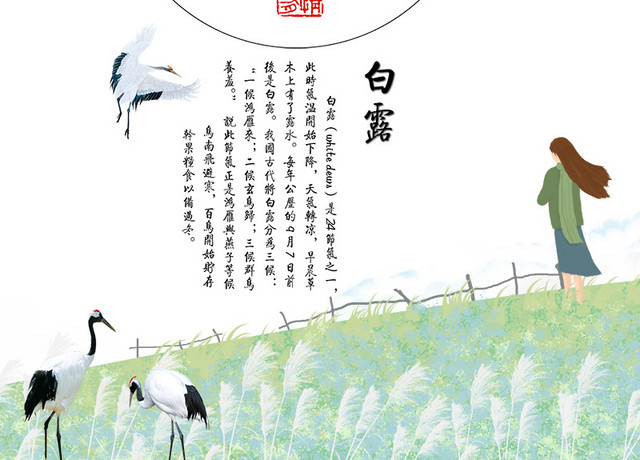 二十四气节白露 海报