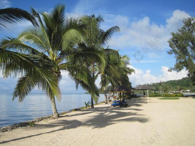 热带 海边 大海 树 岛国 海湾  度假村 椰子树