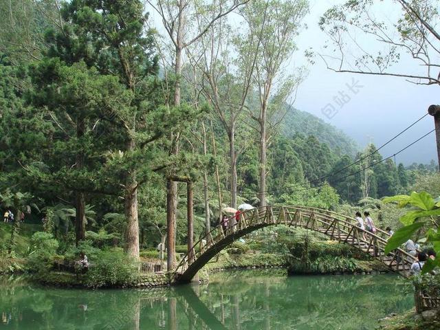 山林 溪頭 大學