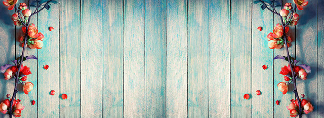 唯美背景BANNER