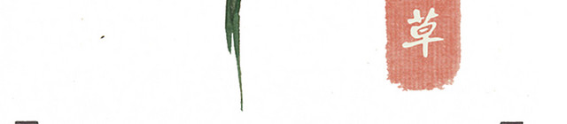 萱草手绘