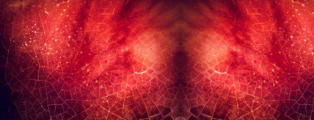 红色枫叶纹理背景BANNER